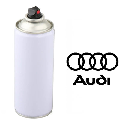 AUDI SPRAY PAINT