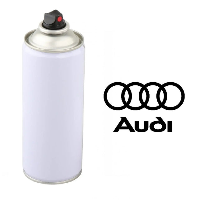 AUDI SPRAY PAINT