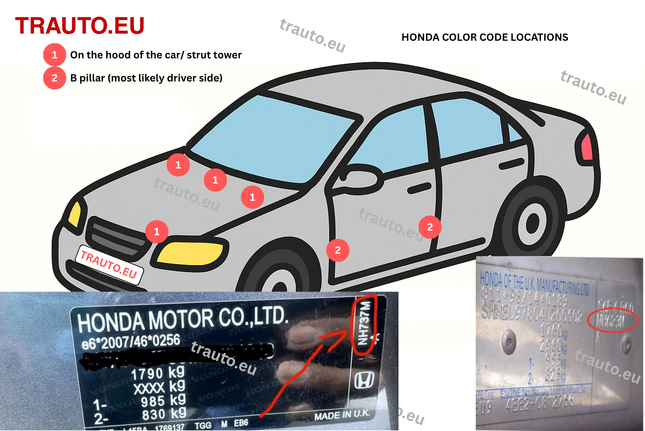 guide how to find Honda paint code location 