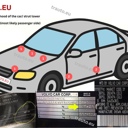 VOLVO SPRAY PAINT