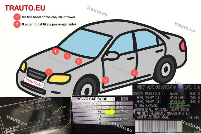 VOLVO SPRAY PAINT