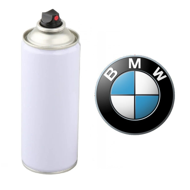 BMW spray paint